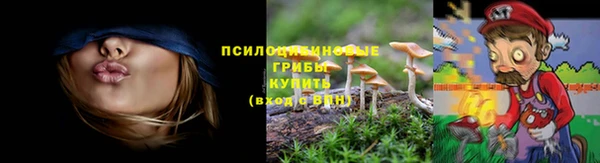 стафф Алзамай