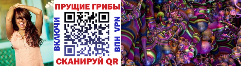 Псилоцибиновые грибы Psilocybe  Купить закладки  Белинский 